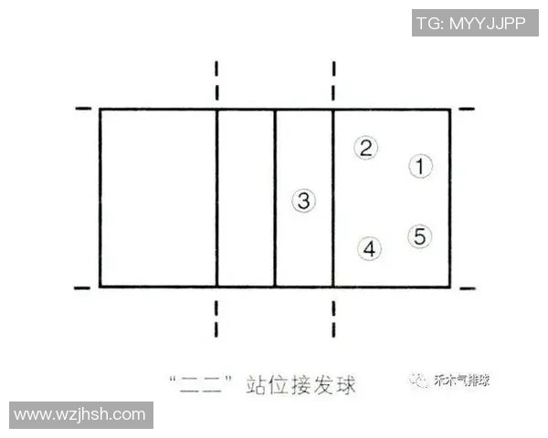 上海排球队团队协作深度解析与其他球队的对比研究