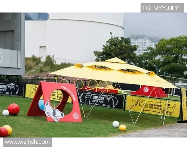 杭州极限运动嘉年华精彩点评展现极限运动队灵活性与团队协作能力